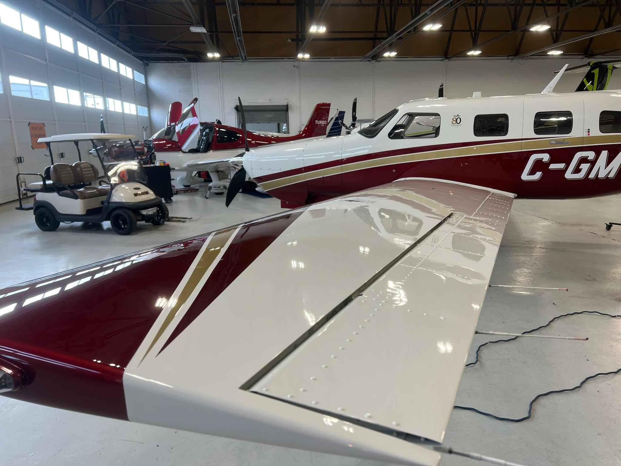 Aircraft paint protection